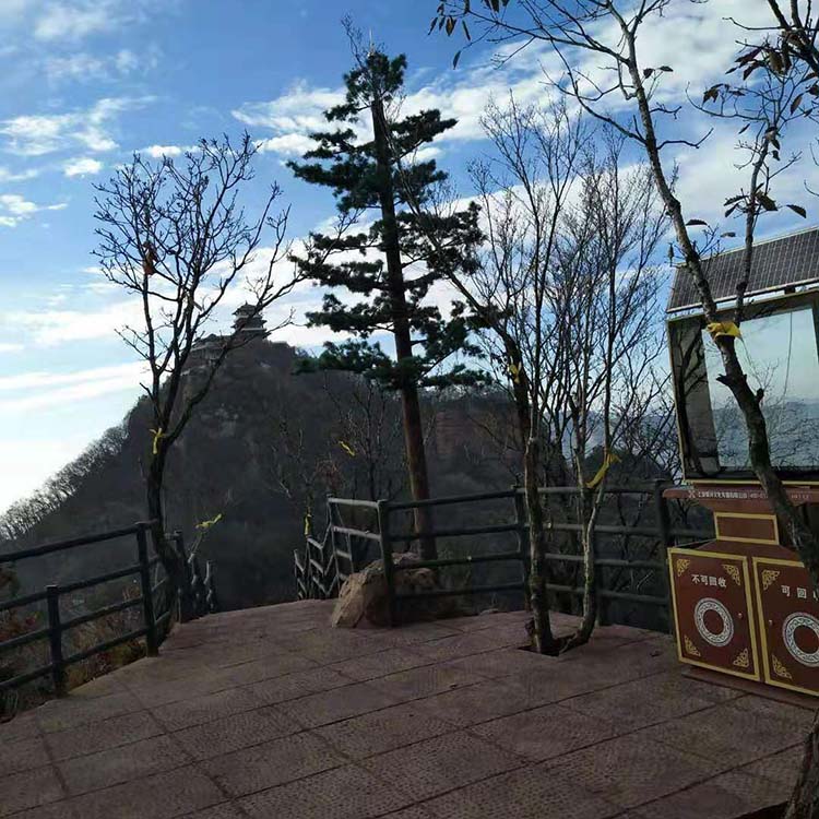公園仿生樹避雷塔