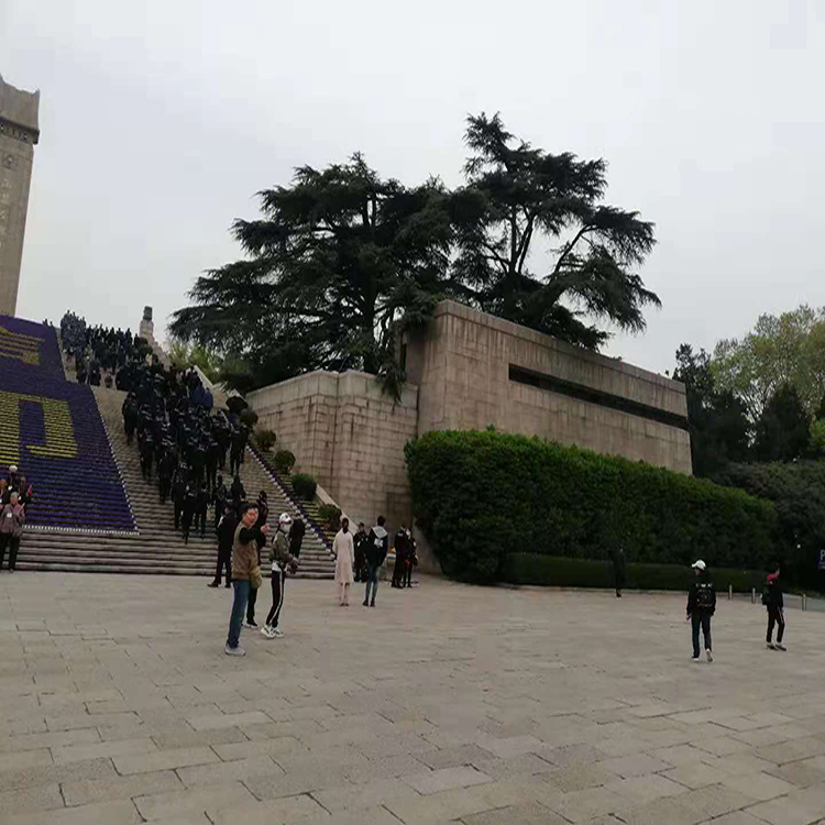  雨花臺烈士陵園古樹防雷方案
